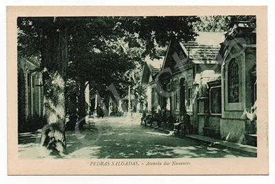 Avenida das Nascentes